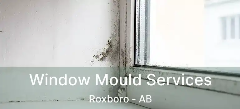  Window Mould Services Roxboro - AB