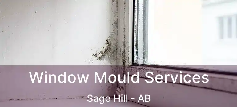  Window Mould Services Sage Hill - AB
