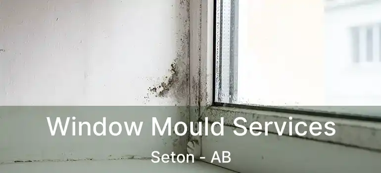  Window Mould Services Seton - AB
