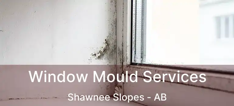  Window Mould Services Shawnee Slopes - AB