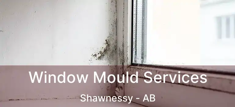  Window Mould Services Shawnessy - AB
