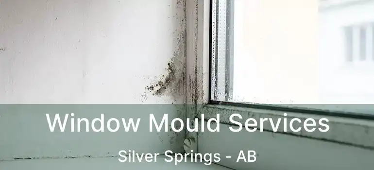  Window Mould Services Silver Springs - AB