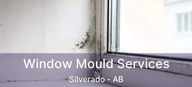  Window Mould Services Silverado - AB