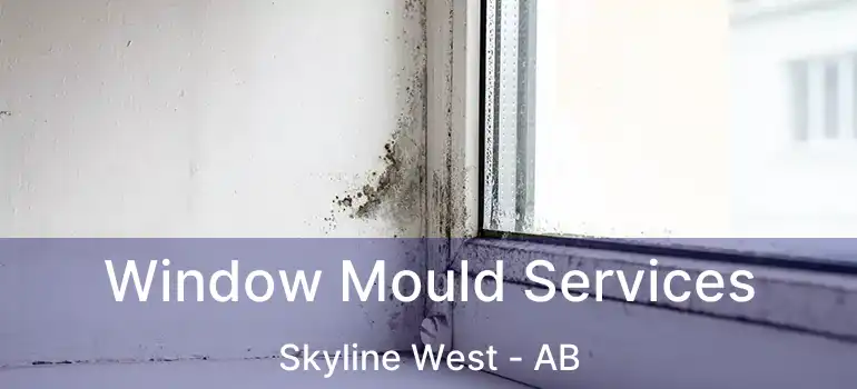  Window Mould Services Skyline West - AB