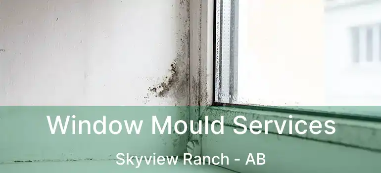  Window Mould Services Skyview Ranch - AB