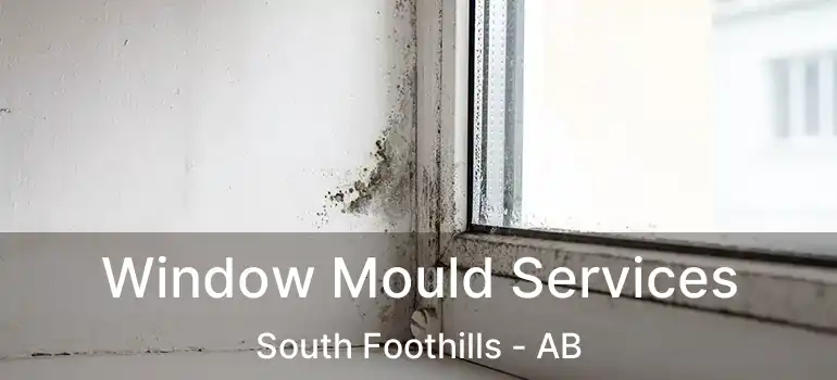  Window Mould Services South Foothills - AB
