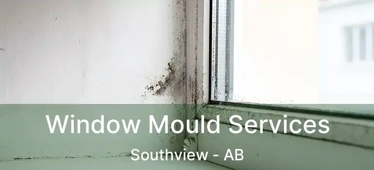  Window Mould Services Southview - AB