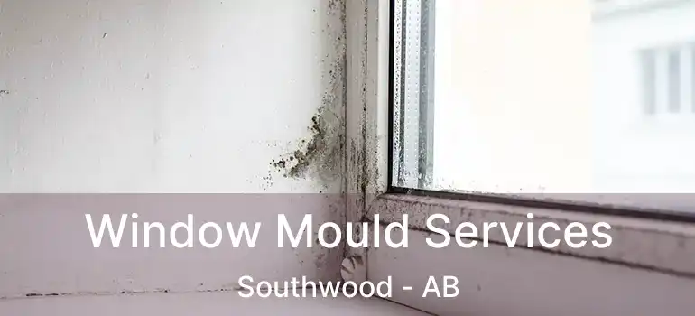  Window Mould Services Southwood - AB