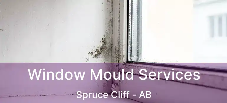  Window Mould Services Spruce Cliff - AB