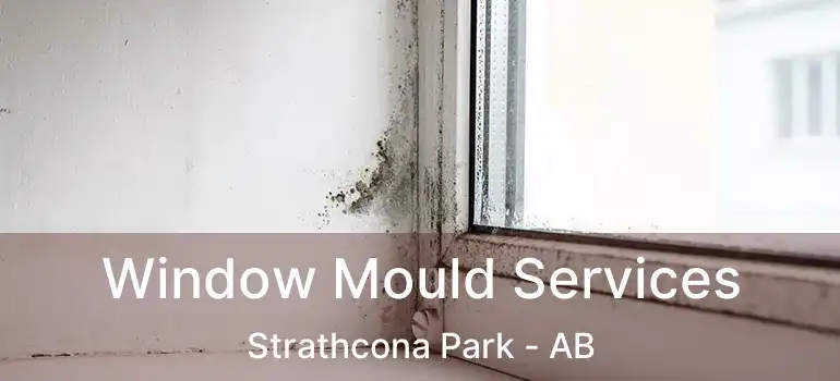  Window Mould Services Strathcona Park - AB