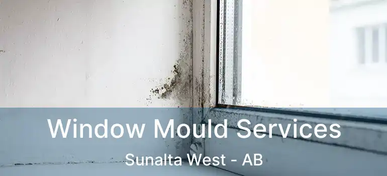  Window Mould Services Sunalta West - AB