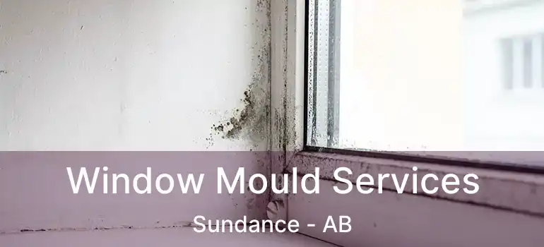  Window Mould Services Sundance - AB