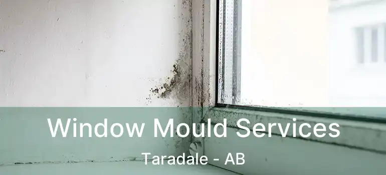  Window Mould Services Taradale - AB
