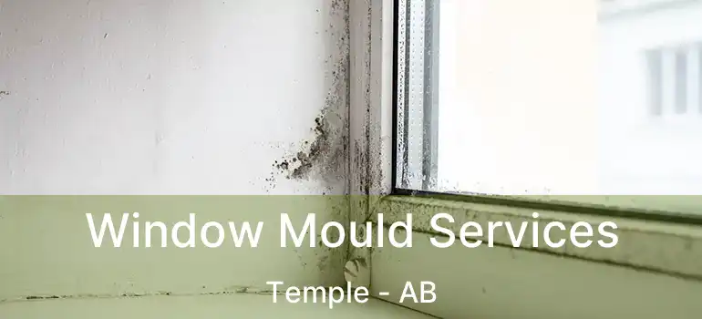  Window Mould Services Temple - AB