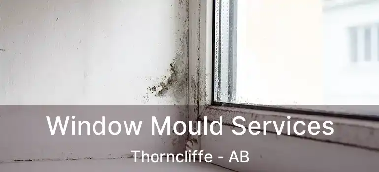  Window Mould Services Thorncliffe - AB