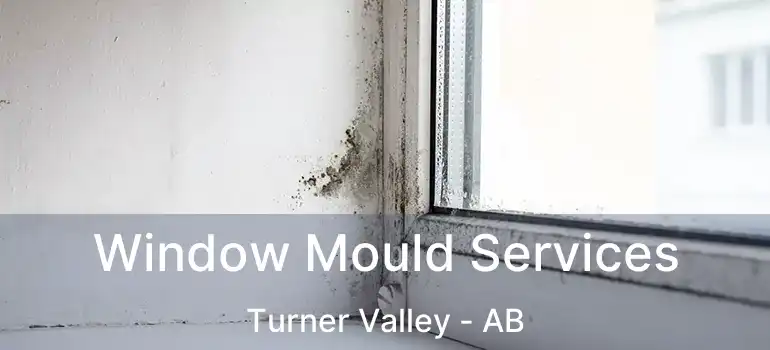  Window Mould Services Turner Valley - AB