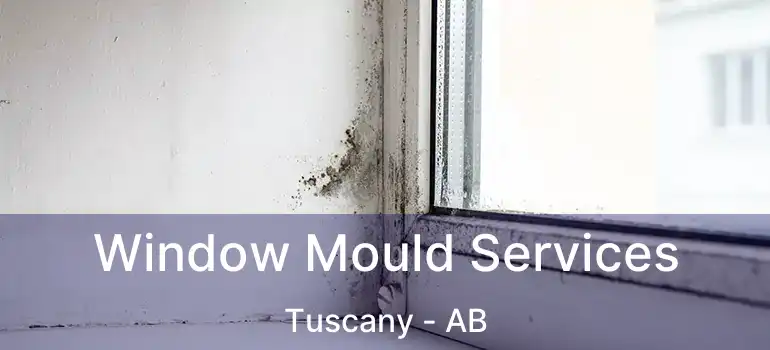  Window Mould Services Tuscany - AB