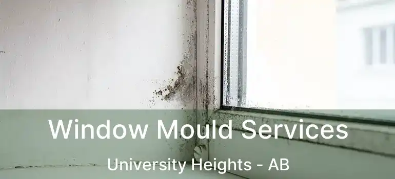  Window Mould Services University Heights - AB