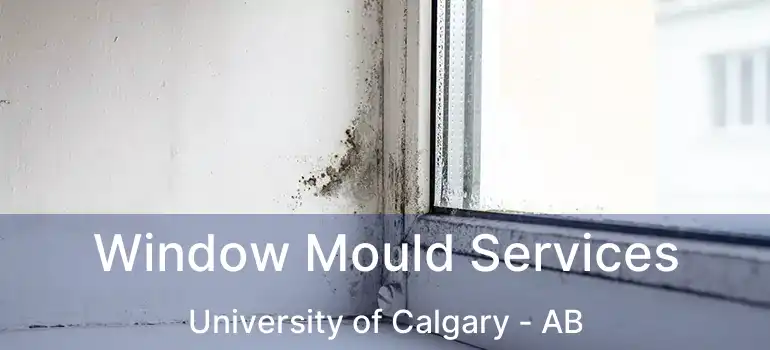 Window Mould Services University of Calgary - AB