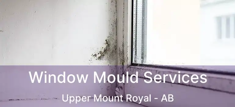  Window Mould Services Upper Mount Royal - AB
