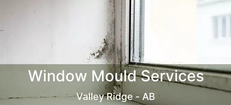  Window Mould Services Valley Ridge - AB