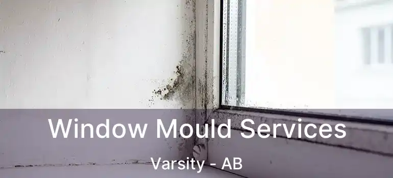  Window Mould Services Varsity - AB