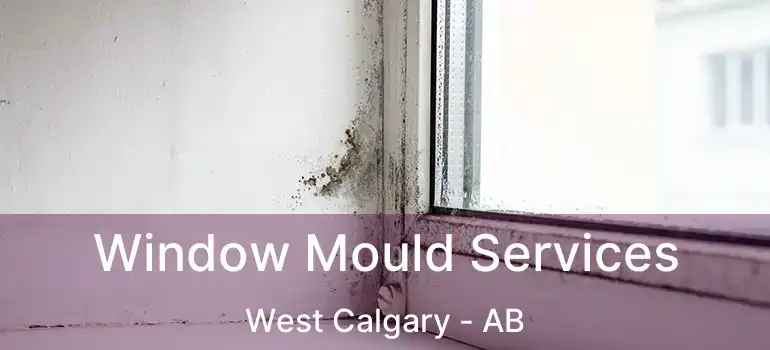  Window Mould Services West Calgary - AB