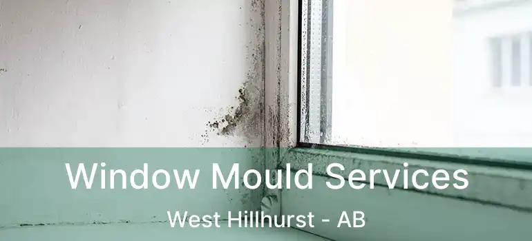  Window Mould Services West Hillhurst - AB