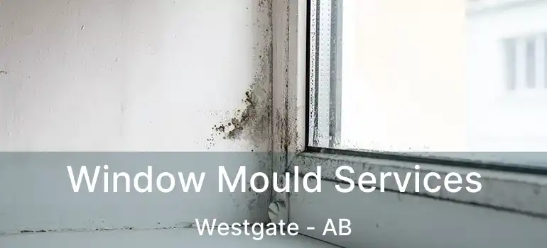  Window Mould Services Westgate - AB