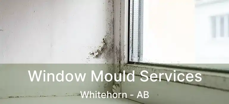  Window Mould Services Whitehorn - AB