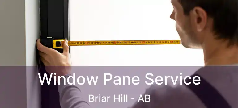  Window Pane Service Briar Hill - AB