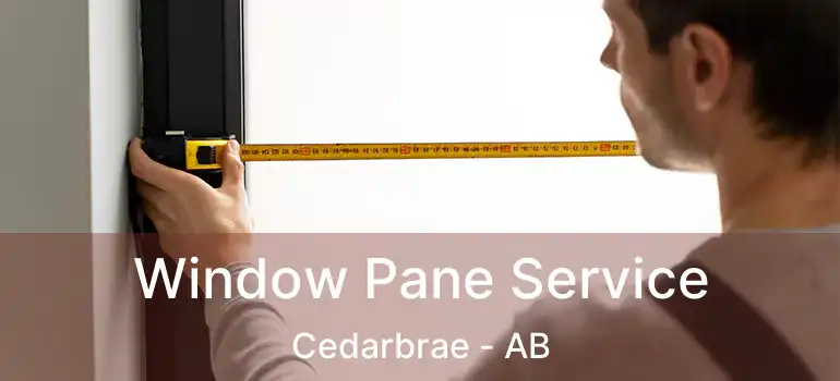  Window Pane Service Cedarbrae - AB