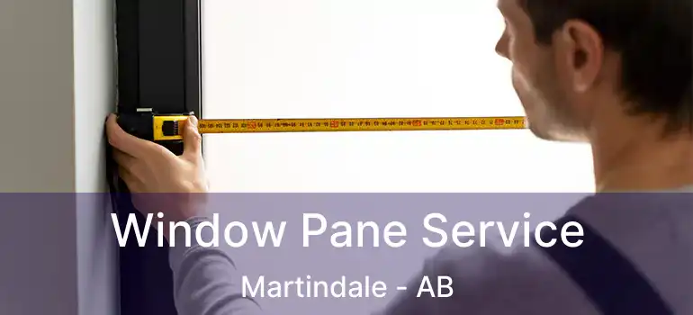  Window Pane Service Martindale - AB
