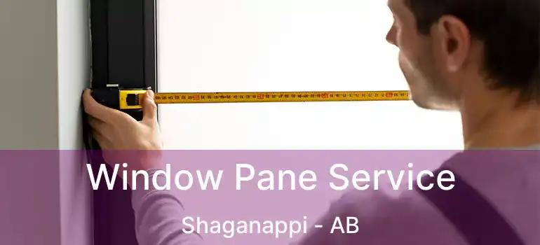  Window Pane Service Shaganappi - AB