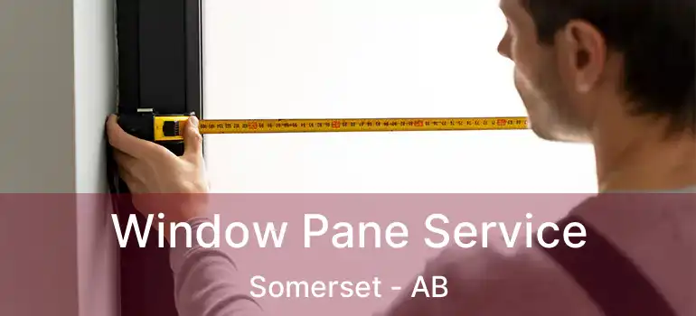  Window Pane Service Somerset - AB