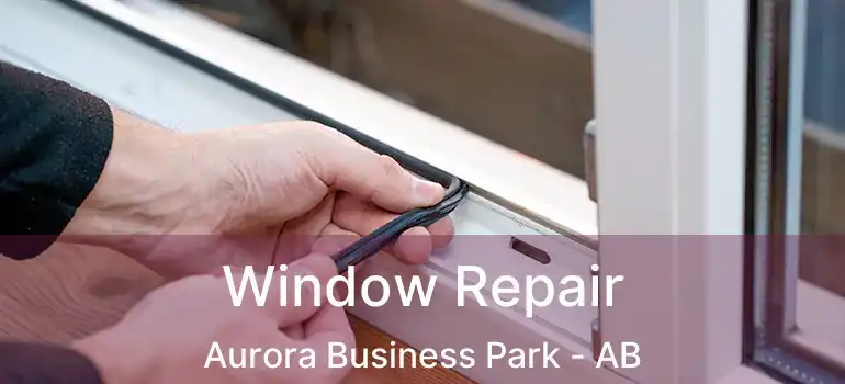  Window Repair Aurora Business Park - AB