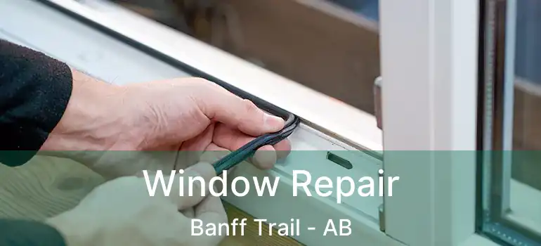  Window Repair Banff Trail - AB