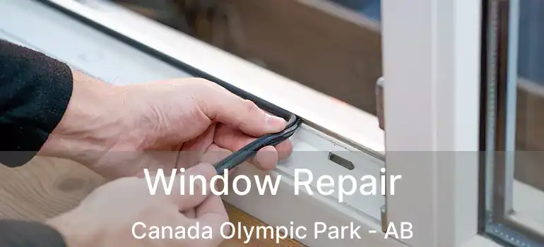  Window Repair Canada Olympic Park - AB