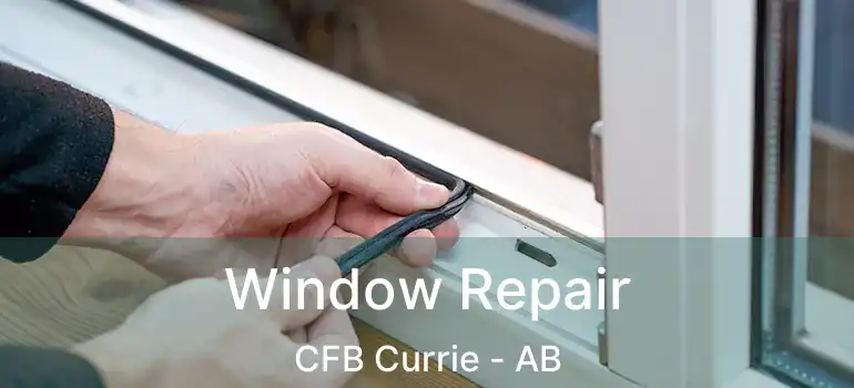  Window Repair CFB Currie - AB