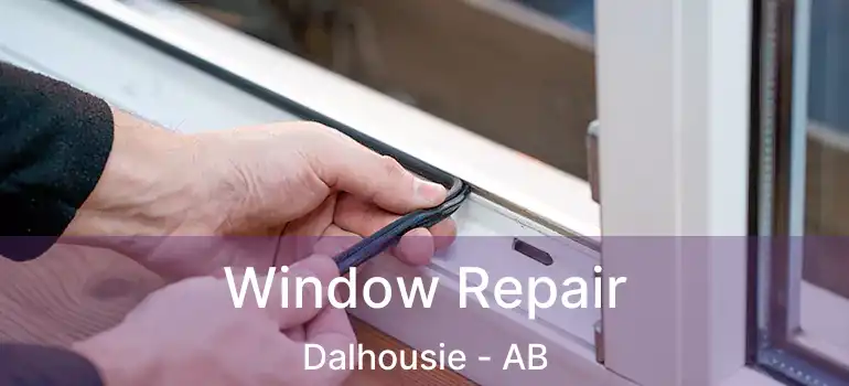  Window Repair Dalhousie - AB