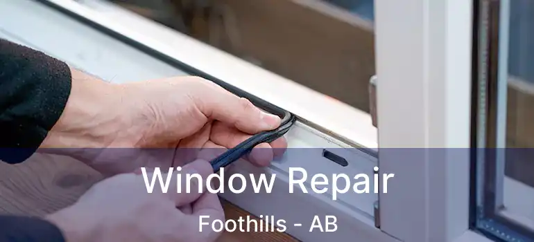 Window Repair Foothills - AB