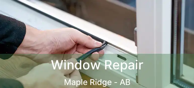  Window Repair Maple Ridge - AB