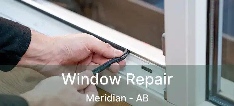  Window Repair Meridian - AB