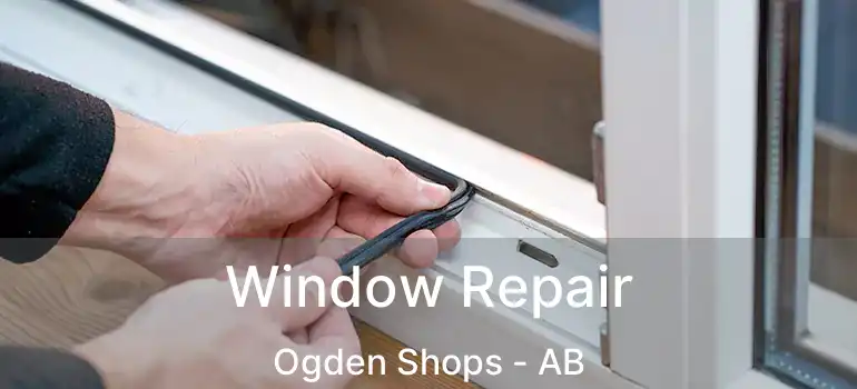  Window Repair Ogden Shops - AB