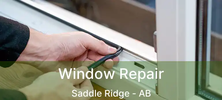  Window Repair Saddle Ridge - AB