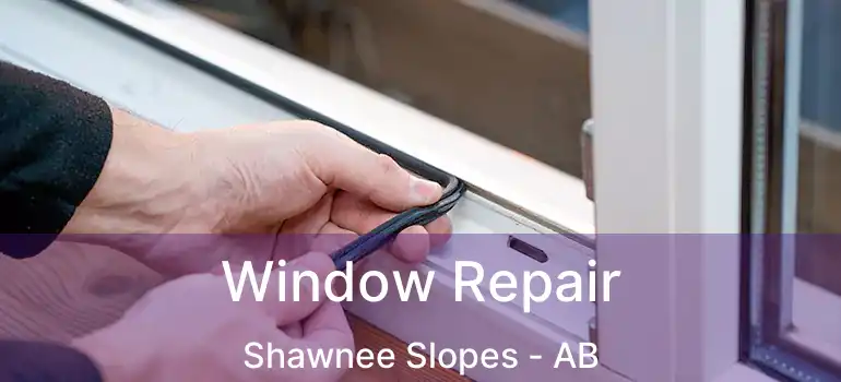  Window Repair Shawnee Slopes - AB