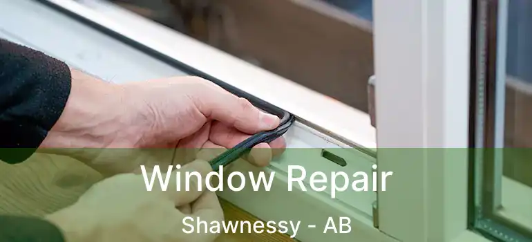  Window Repair Shawnessy - AB