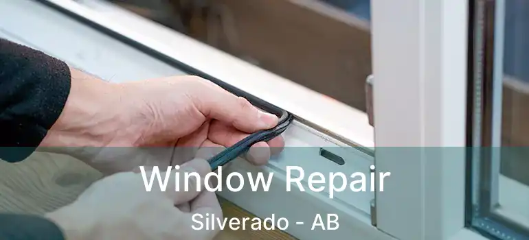  Window Repair Silverado - AB