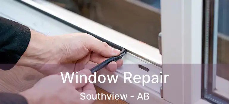  Window Repair Southview - AB