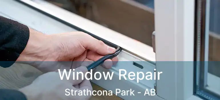  Window Repair Strathcona Park - AB